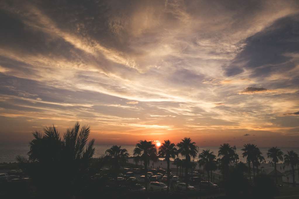 Magnuson Hotel Clearwater Beach Natur billede